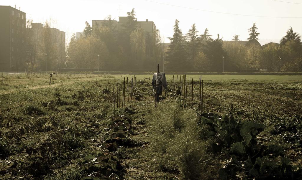 Podere San Giuliano Villa San Lazzaro di Savena Buitenkant foto